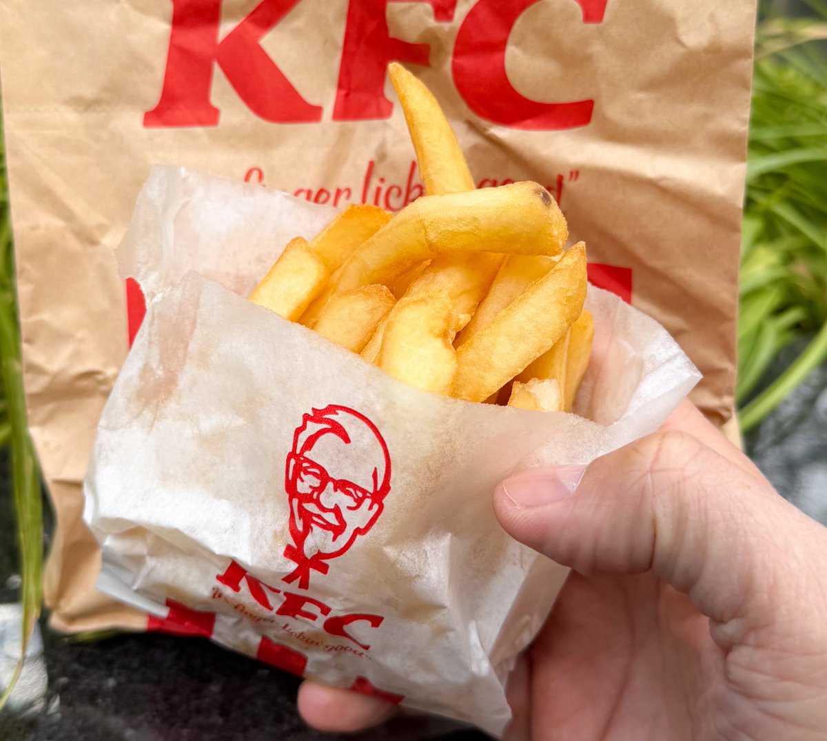 はらぺこグルメ日記(ぺこグルメ) tweet media