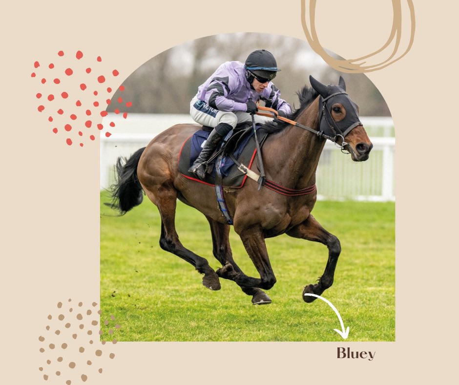 Emma Lavelle tweet media