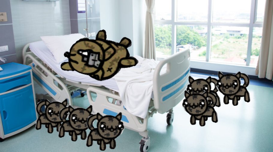 maisieskitten's tweet photo. we are waiting for you to get better maisie ❤️ https://t.co/DM1MsSaVoa