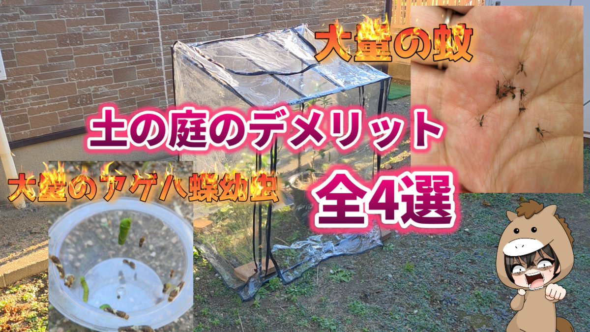 まっく tweet media