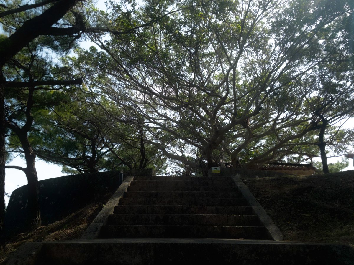 ⋆ ☄︎. ·˚ * ꙳ tweet media