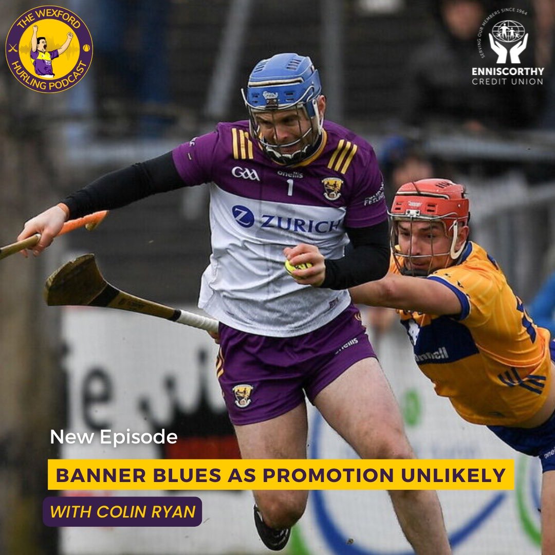 The Wexford Hurling Podcast tweet media