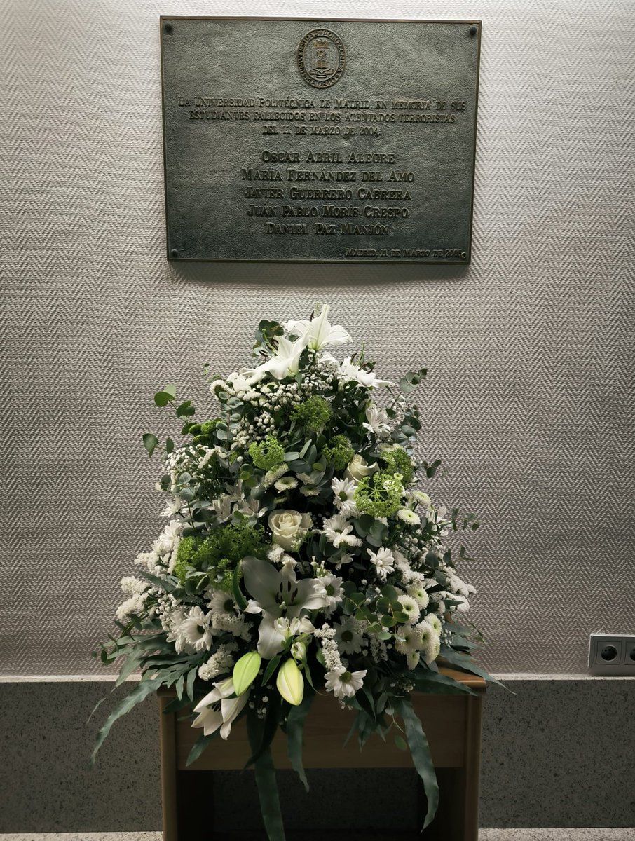 Universidad Politécnica de Madrid tweet media