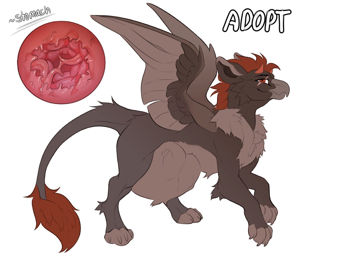 Plateous tweet media