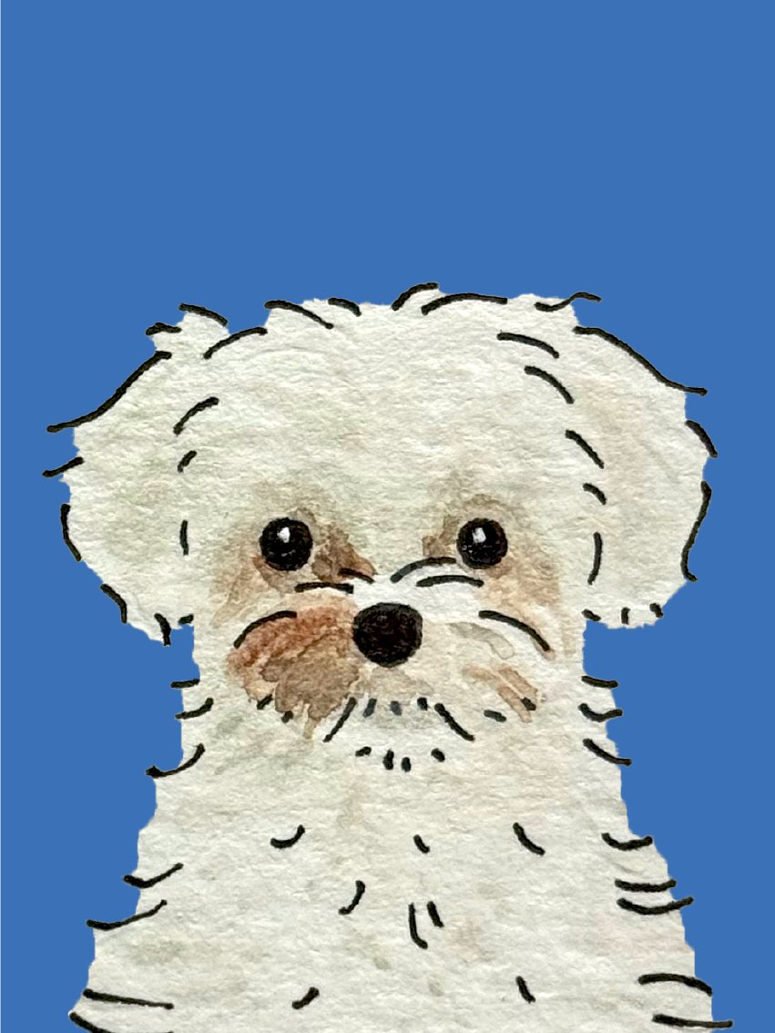 솜믕탱이 tweet media