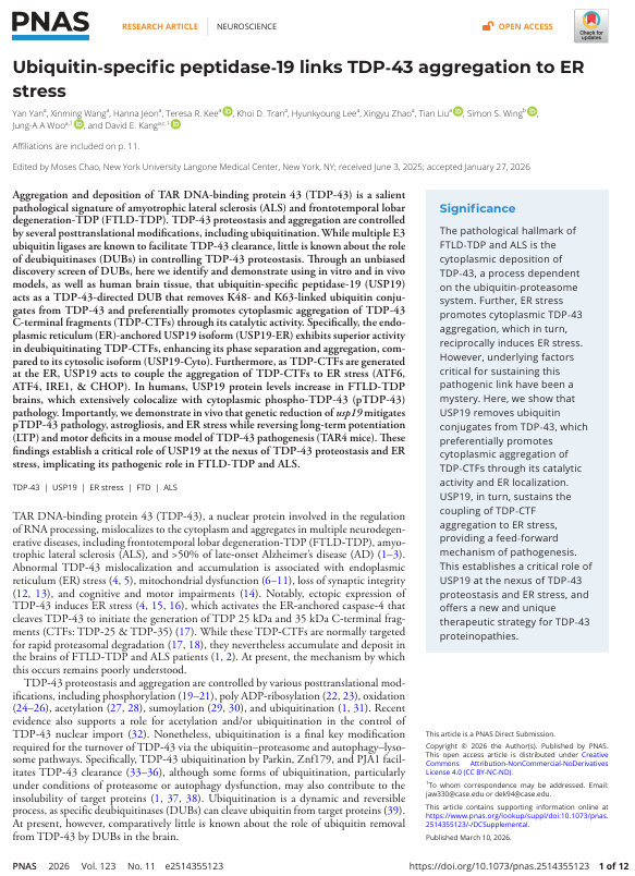 Nuevos avances contra la ELA 🧠🔬 
Un estudio en PNAS muestra revela cómo la proteína USP19 juega un papel crucial en la progresión de este tipo de enfermedades. 🧵👇
1️⃣La acumulación de la proteína TDP-43 en el cerebro es una señal clave en la ELA. Hasta ahora, no sabíamos bien