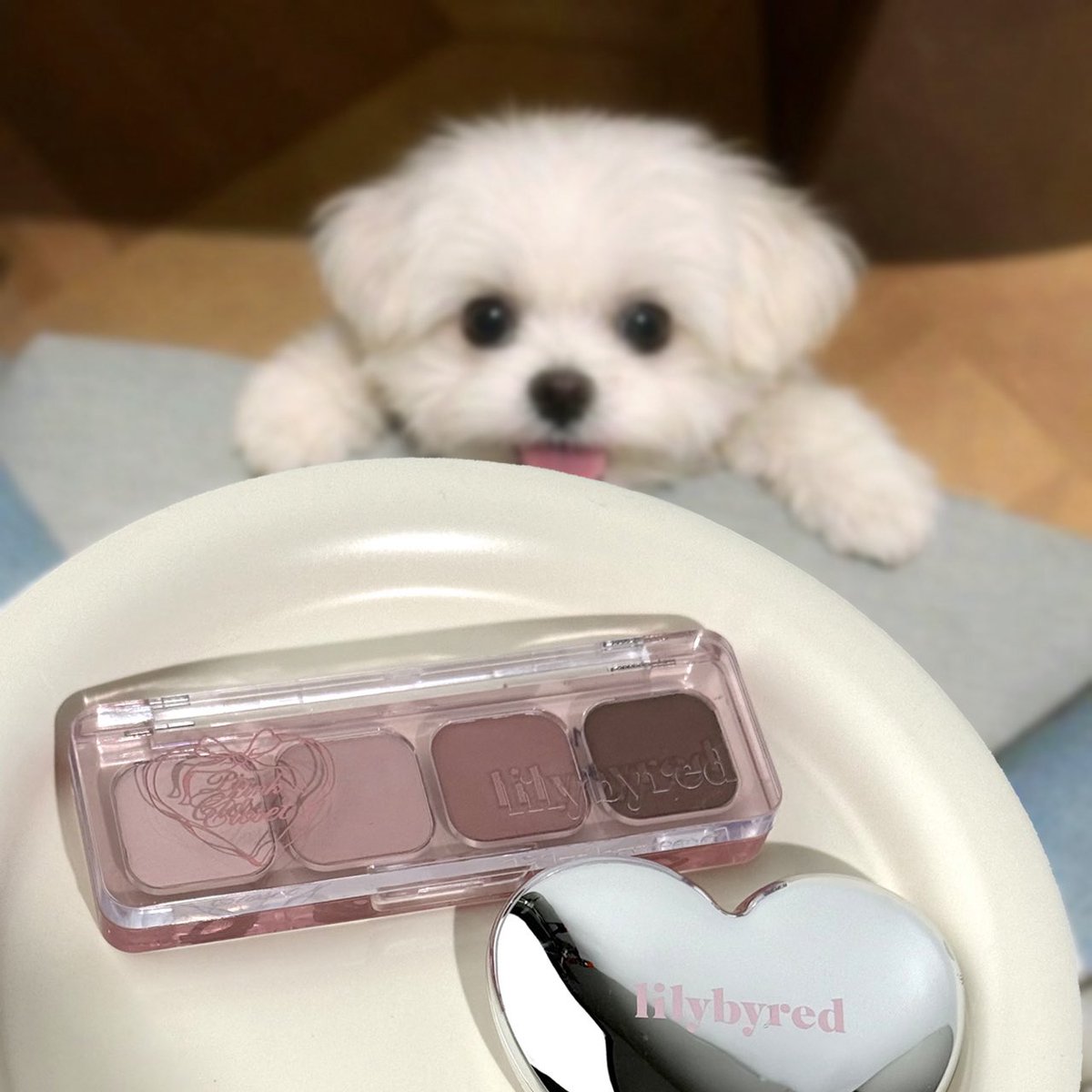 릴리바이레드 tweet media