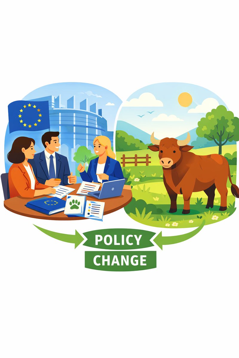 CAS International tweet media