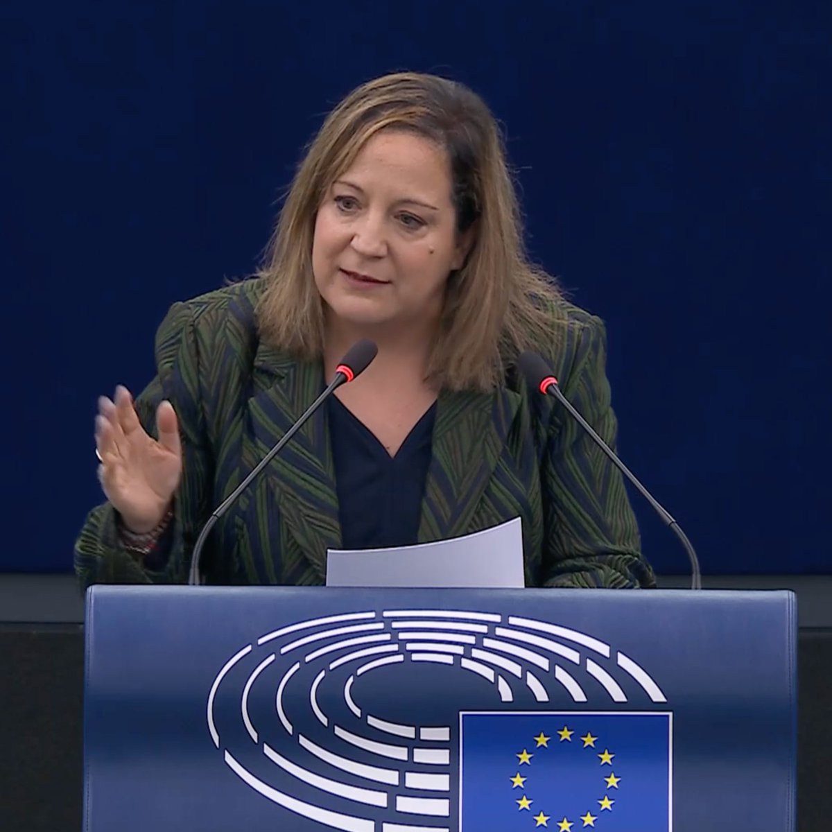 S&D Group tweet media