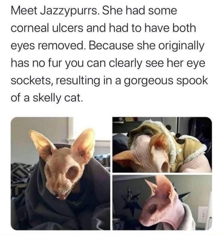 Moon Defii tweet media