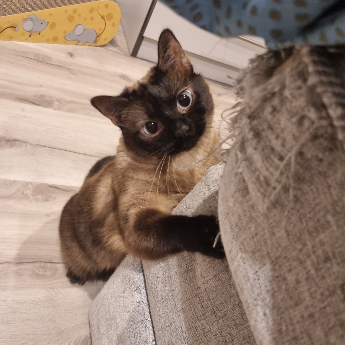 Smitty🥇 tweet media