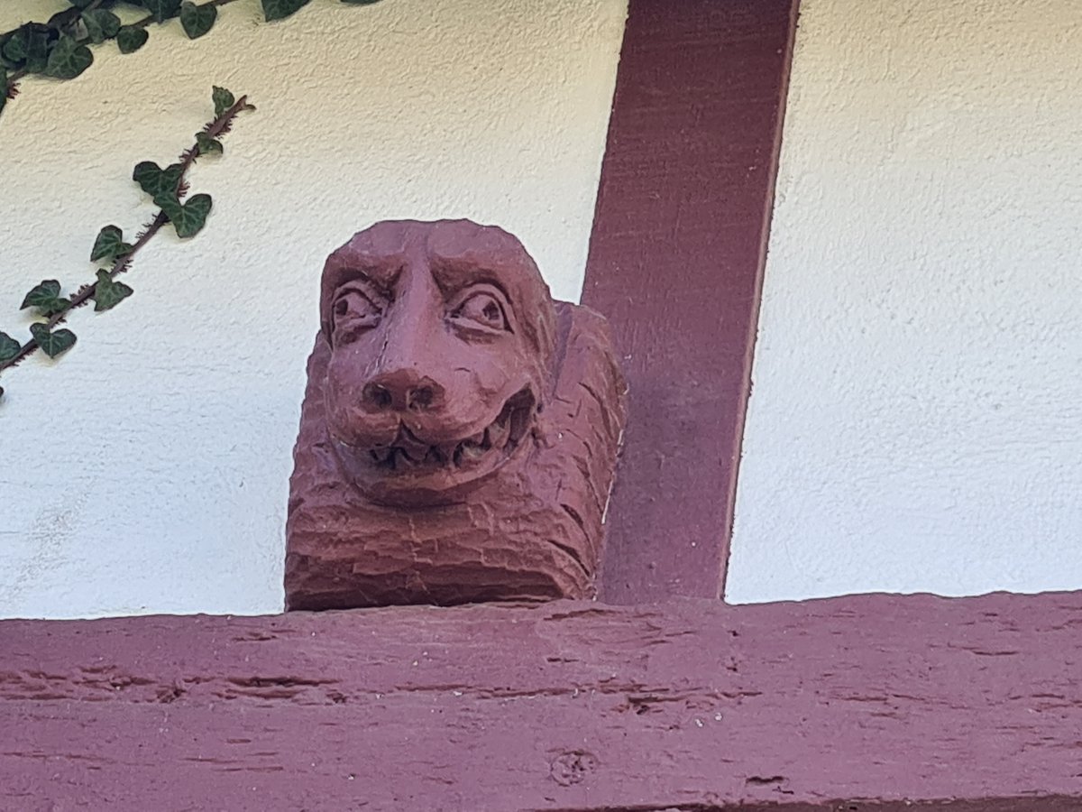 Tour du Golfe tweet media