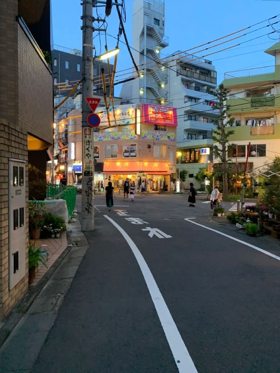 naturebeauty760's tweet photo. Japan 🇯🇵 https://t.co/TuvRdA7wGt