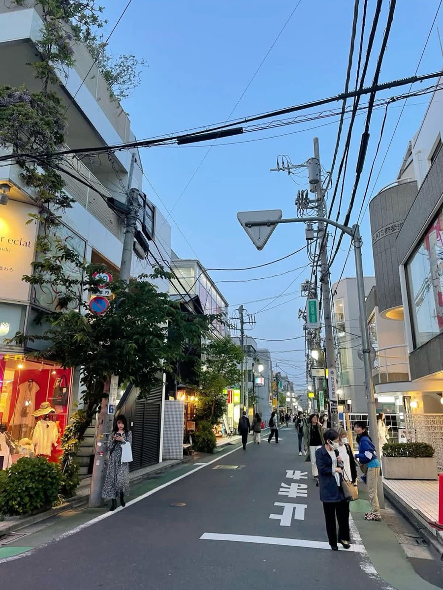 naturebeauty760's tweet photo. Japan 🇯🇵 https://t.co/TuvRdA7wGt