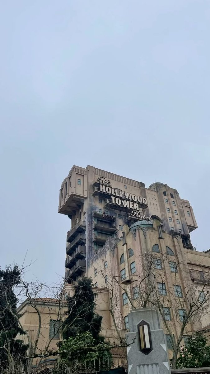 Noëlie 🦖 tweet media