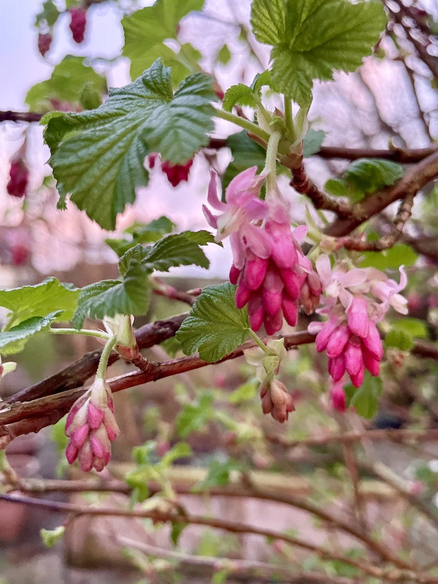 Stifyn Parri 🌈 tweet media