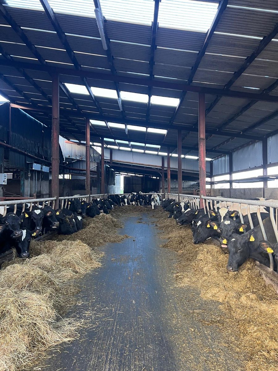 Precision Nutrition  tweet media