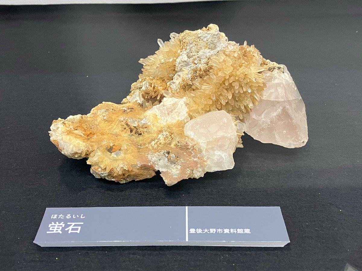 minerals_sono's tweet photo. 大分市の埋蔵文化財センターで今やっている展示の中に、尾平の蛍石が✨
クラスター右についている蛍石は高さが5cmくらいあります。でっか！😳
触れる体験もあったので、こ、これがピンク蛍石…と
ありがたく持ってみました。 https://t.co/nP40Ru5G1N