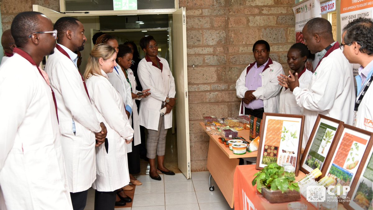 International Potato Center tweet media