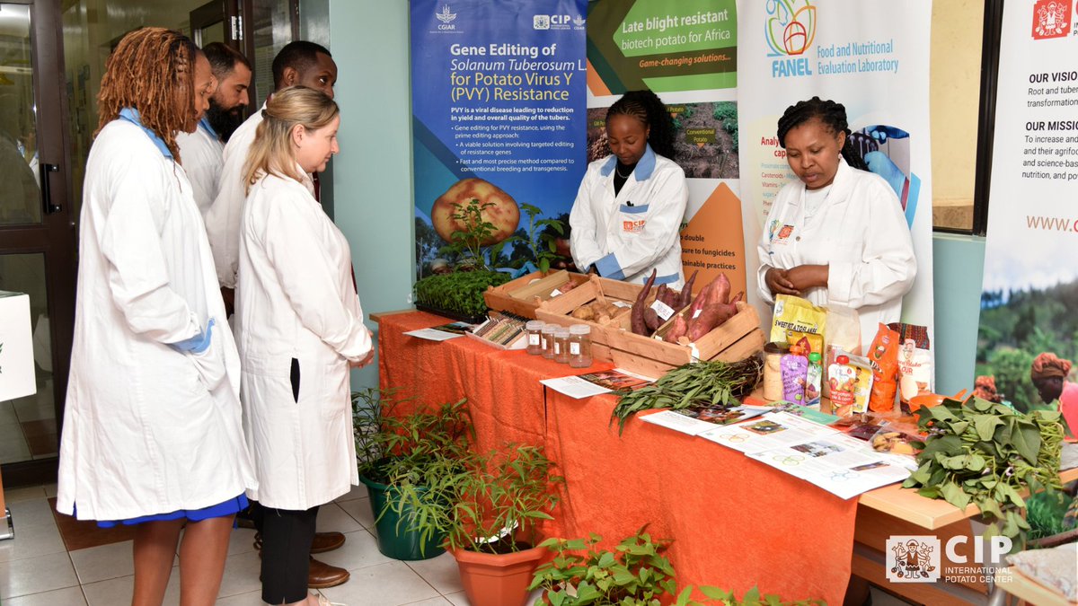 International Potato Center tweet media