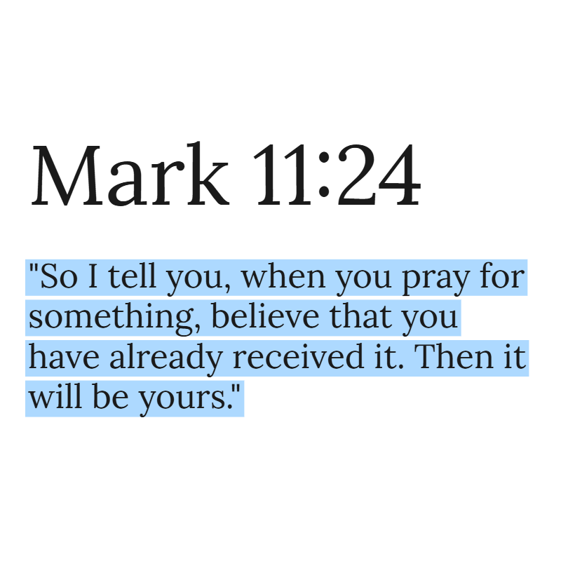 Holy Bible tweet media