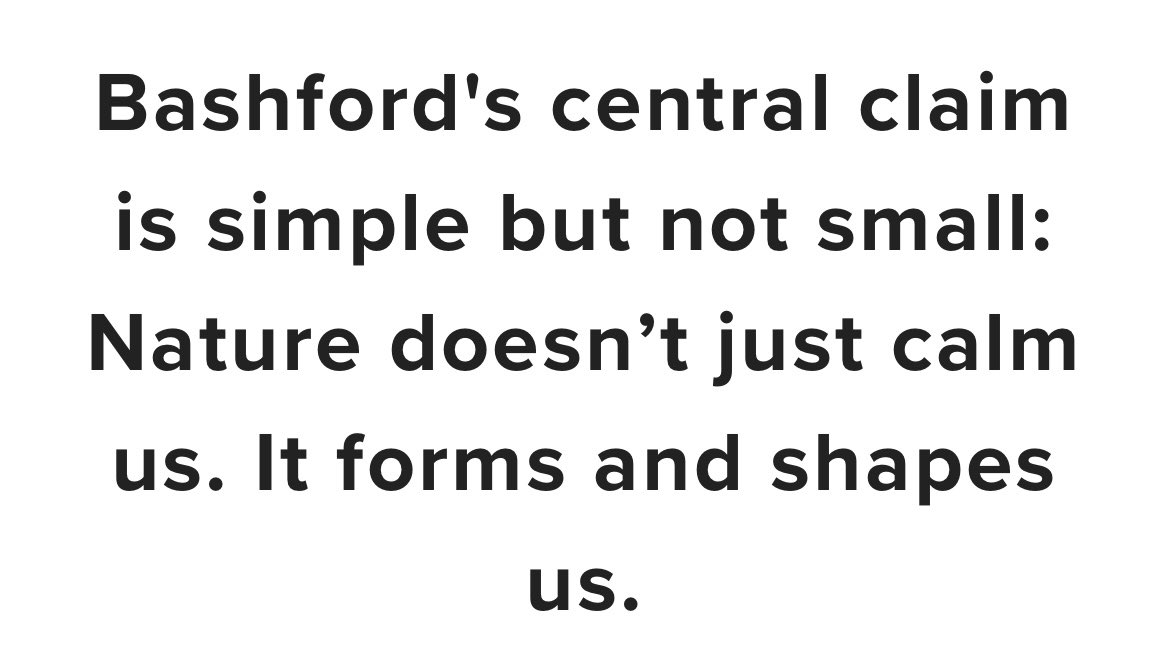 James Bashford tweet media