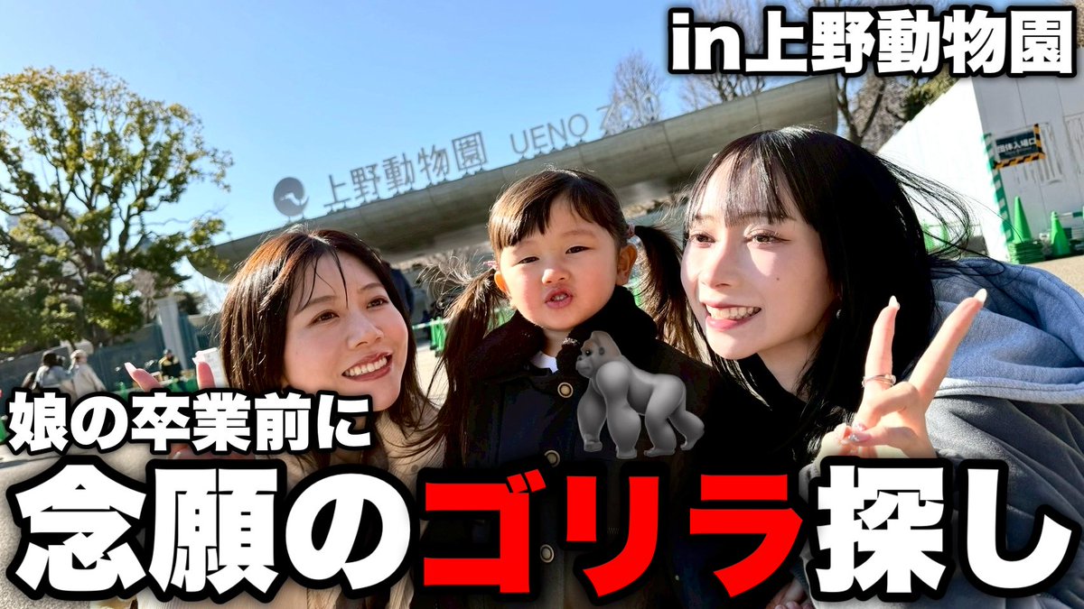 くれいじーまぐねっと tweet media