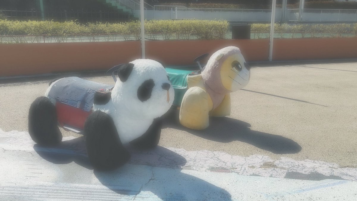 chouchoucore___'s tweet photo. 色々撮ってきた その1🎪🎡🎢🎠🎪 https://t.co/gAspTFDfvK