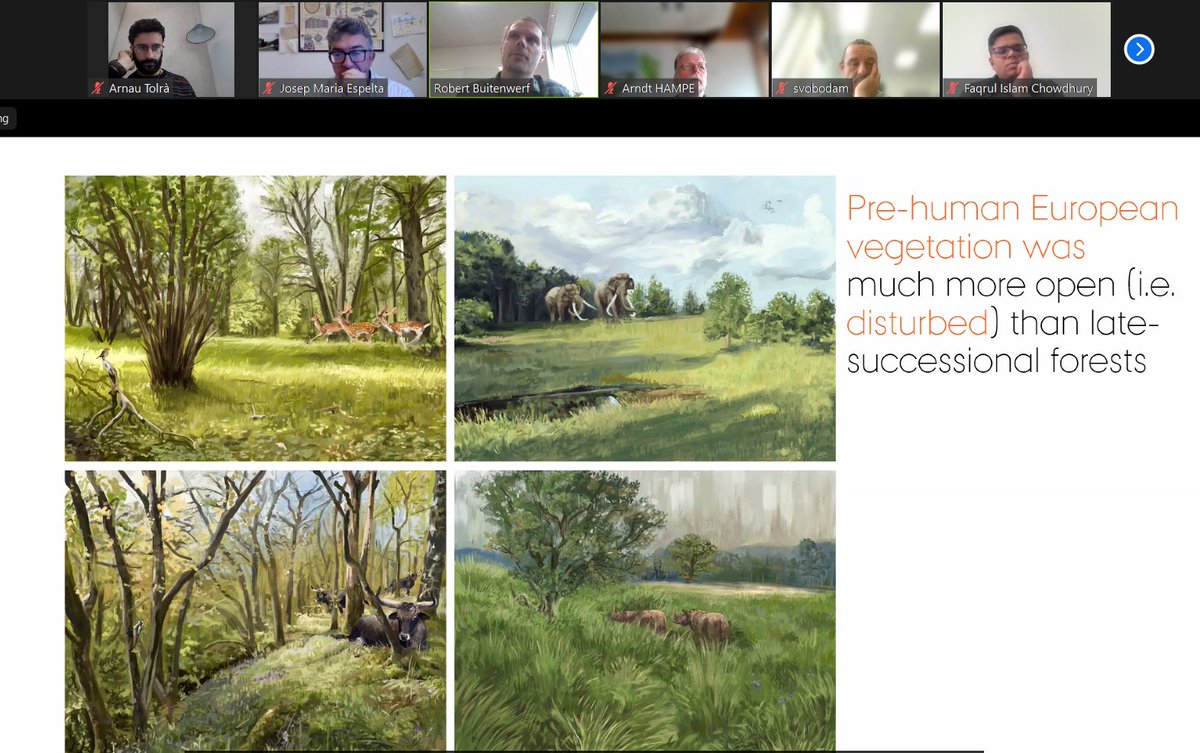 Arnau Tolrà tweet media