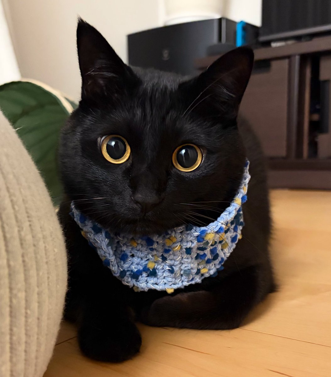 うに3才 tweet media