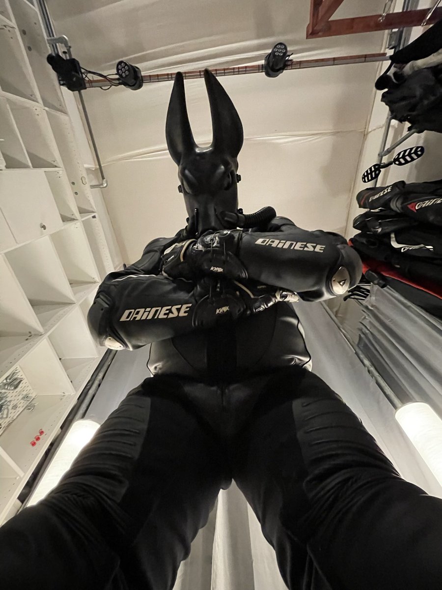 BondageFox tweet media