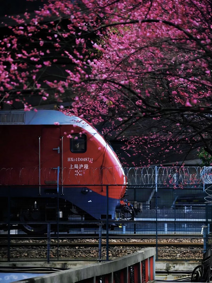 Harper Zhou（互fo互赞） tweet media