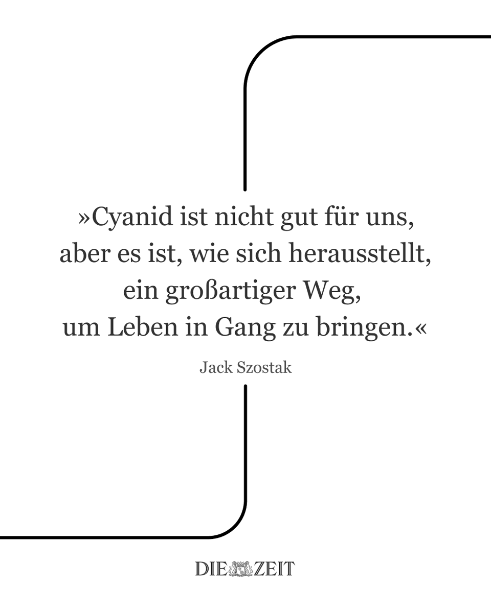 Jochen Wegner tweet media