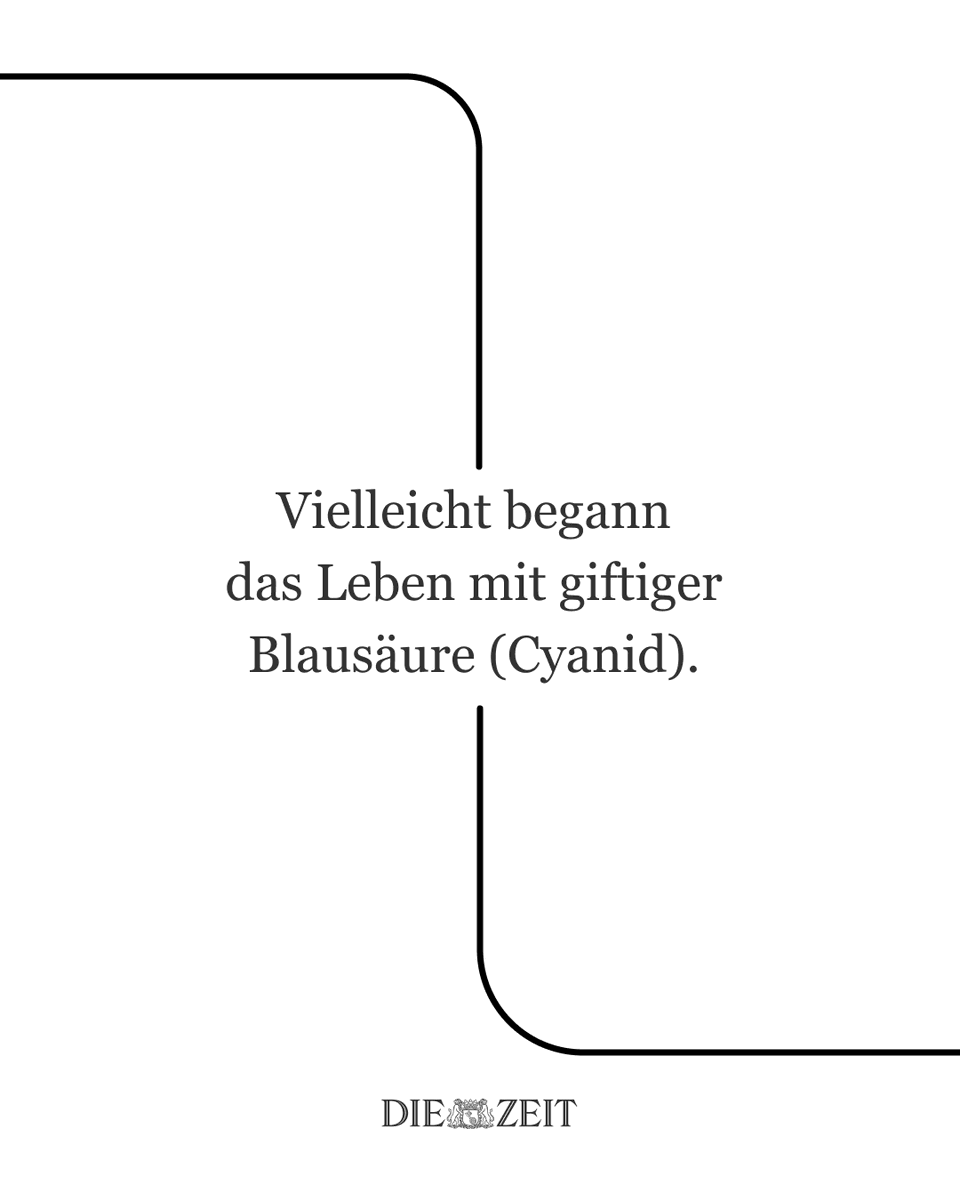 Jochen Wegner tweet media