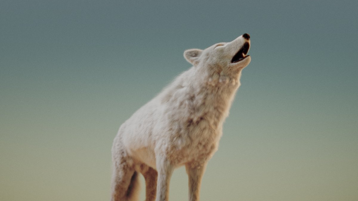 Dani Planas tweet media