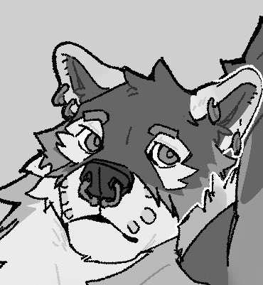 GoGoZiesir tweet media