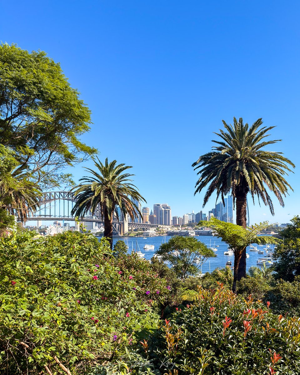 jesseckay's tweet photo. 📷 ☀️ It was definitely a stunning no-cloud-at-all kind of day in Sydney.

#sydney #australia #nsw #city #summervibes https://t.co/KveYfLPbzm