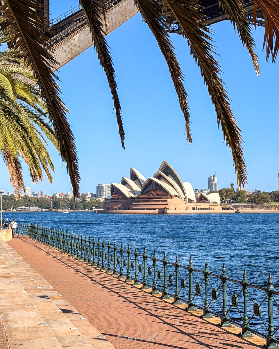 jesseckay's tweet photo. 📷 ☀️☀️ Sydney. https://t.co/MyhyFmZqqE