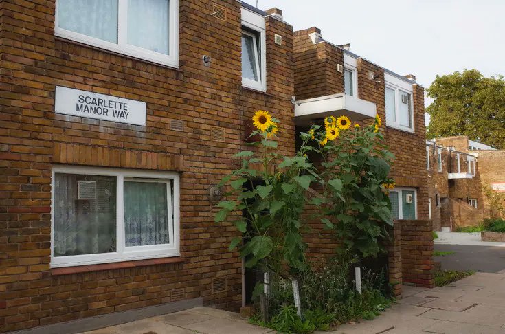 Brixton Buzz tweet media