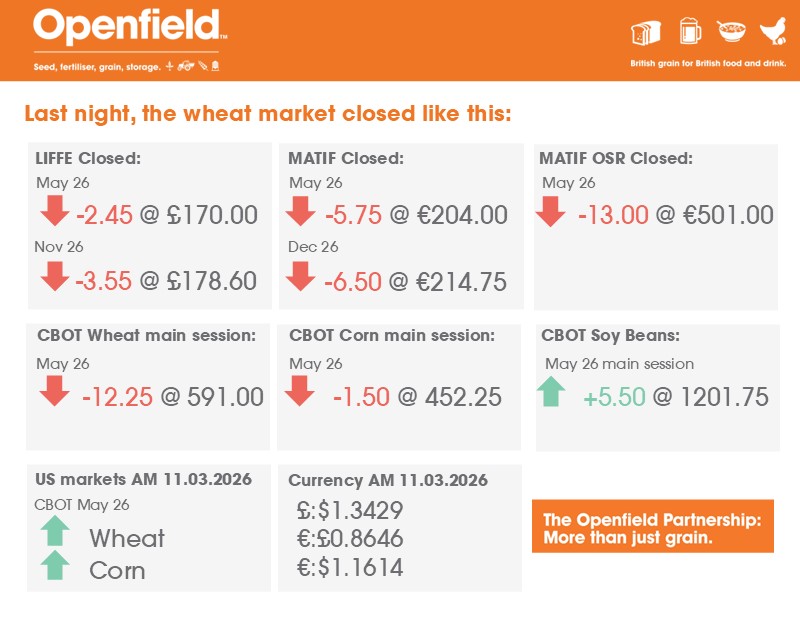 Openfield: More than just grain. tweet media