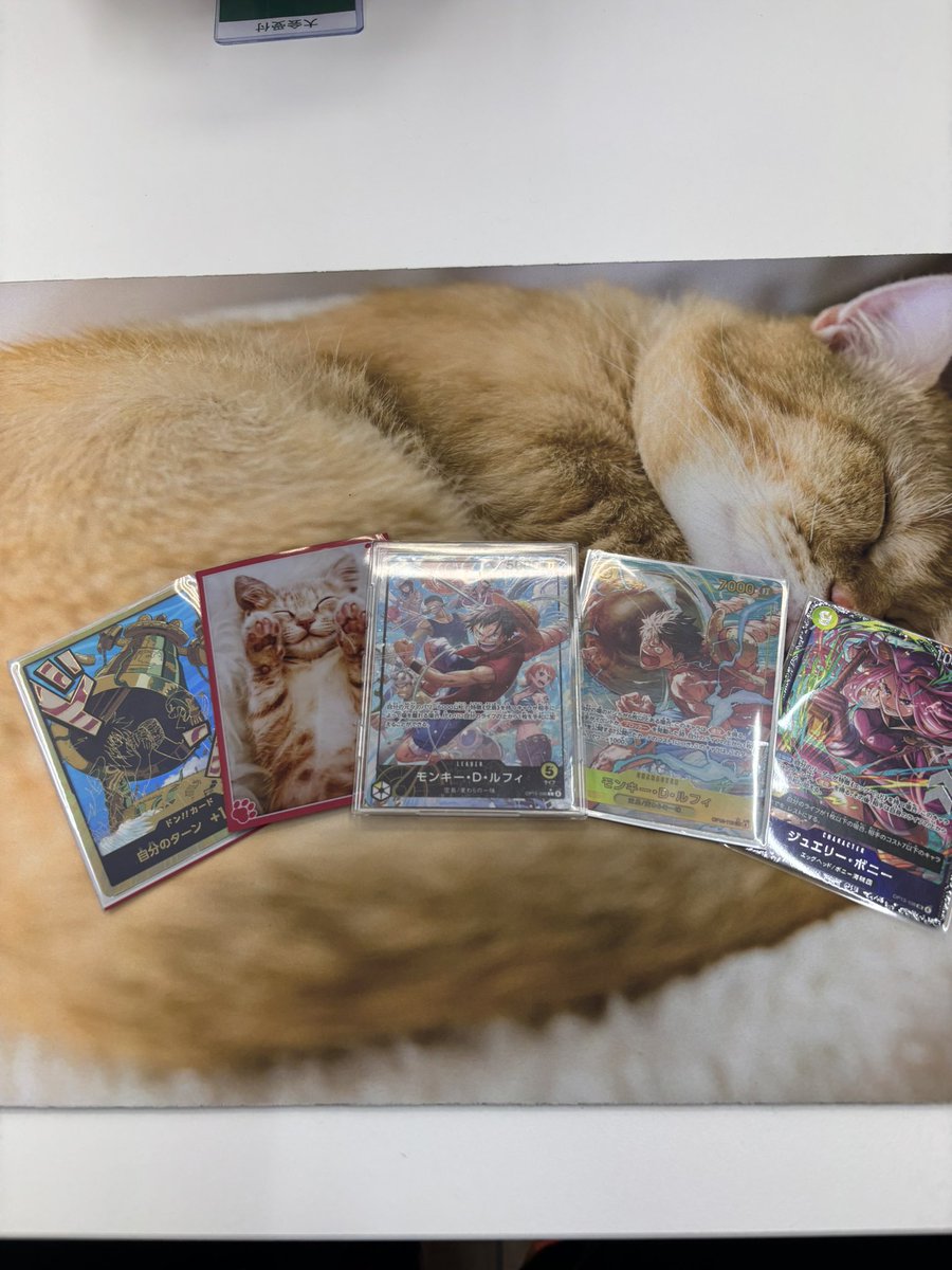 だー🏴‍☠️ tweet media