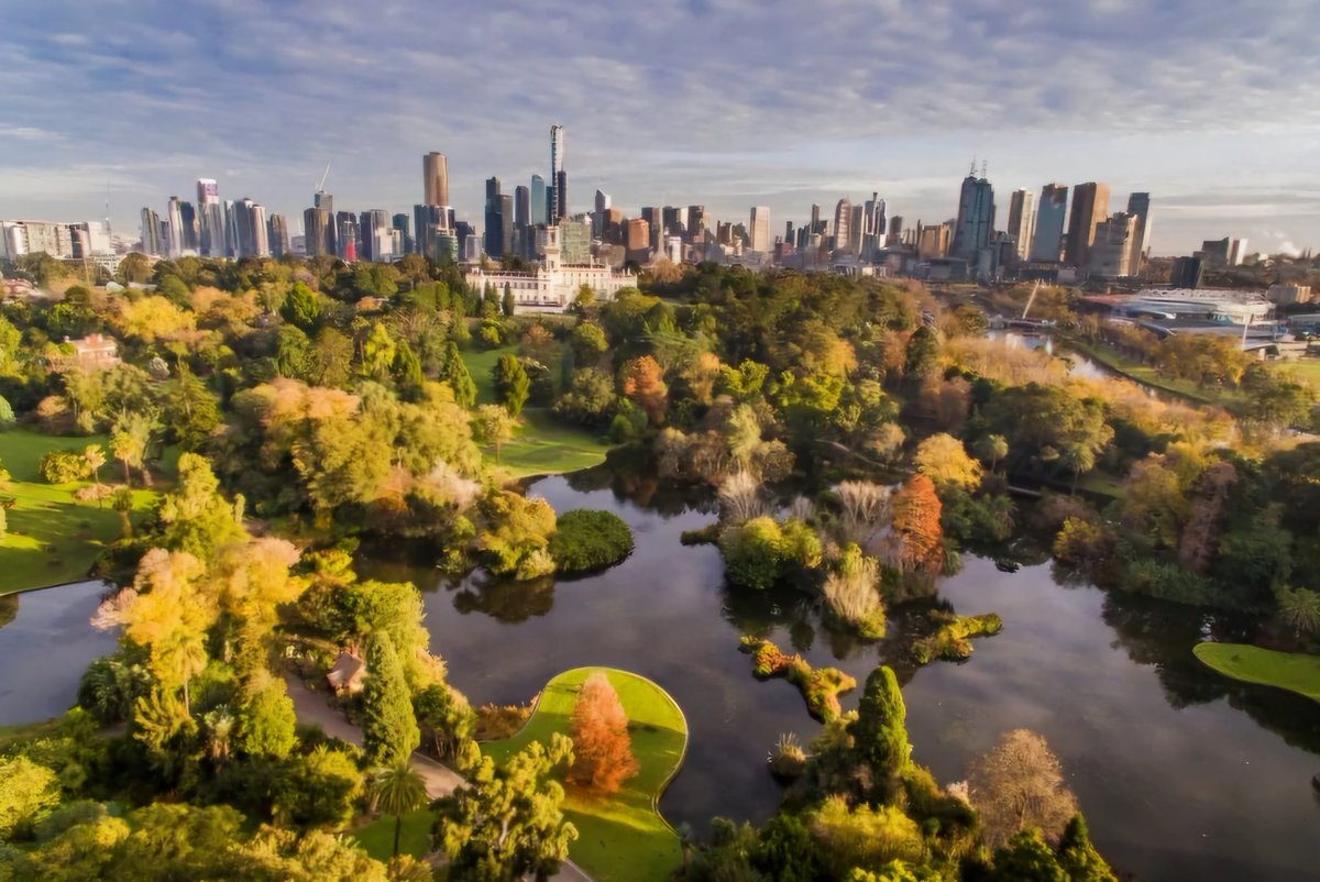 Rob Graham tweet media