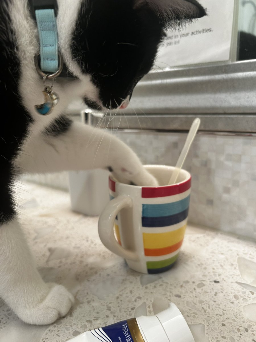 qor midniii tweet media