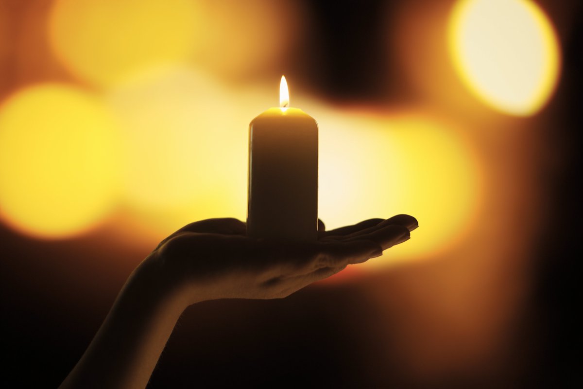 Consiglio FVG tweet media