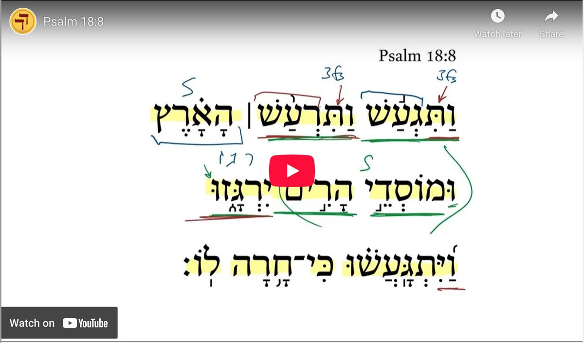 Daily Dose of Hebrew tweet media