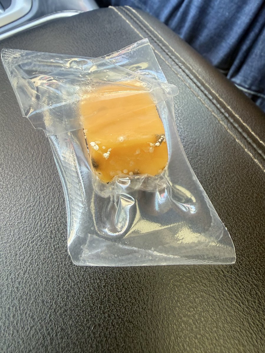 Tamara-Lee Bloom tweet media