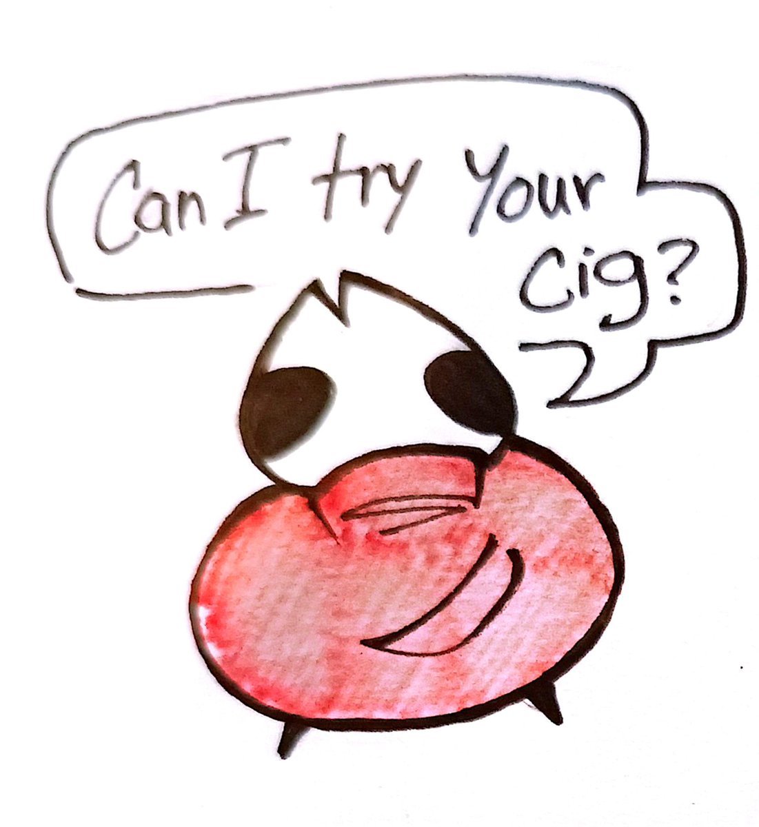 ThePackster tweet media