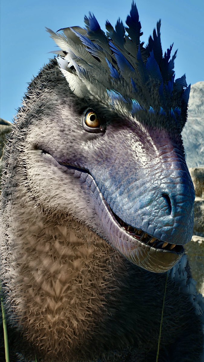 📸－FIRST－📸 tweet media