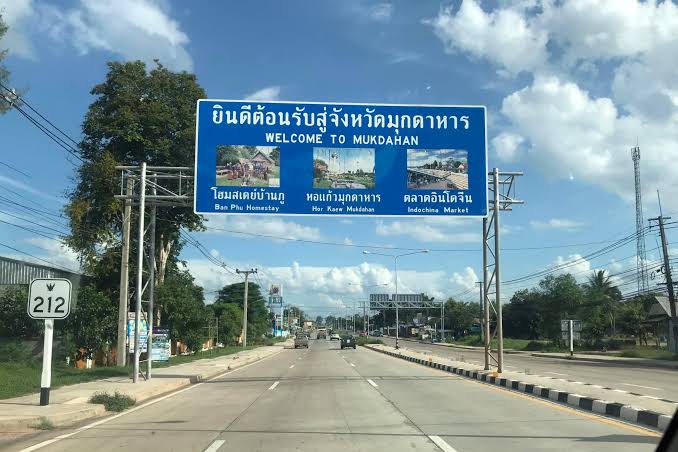 จ้าวป่า tweet media