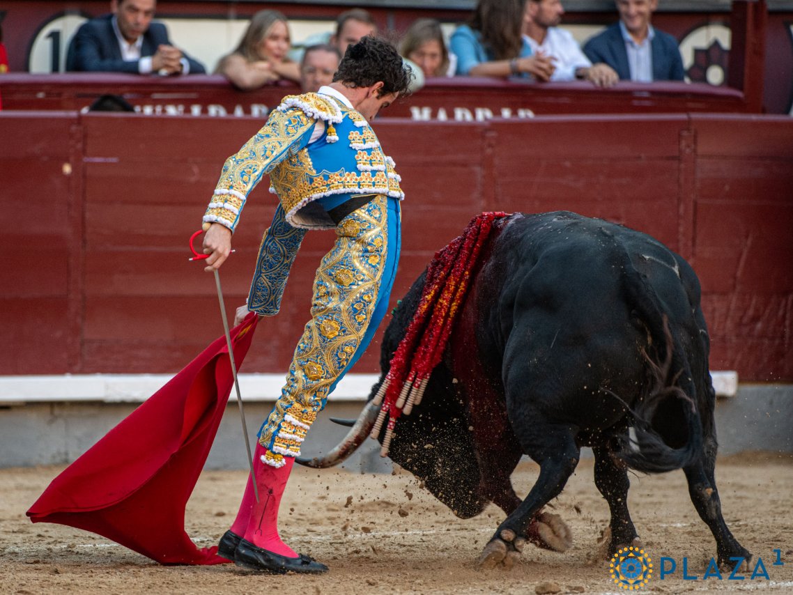 Fundación Toro Lidia tweet media